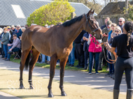 NH220326-28 - Thewoodcorner